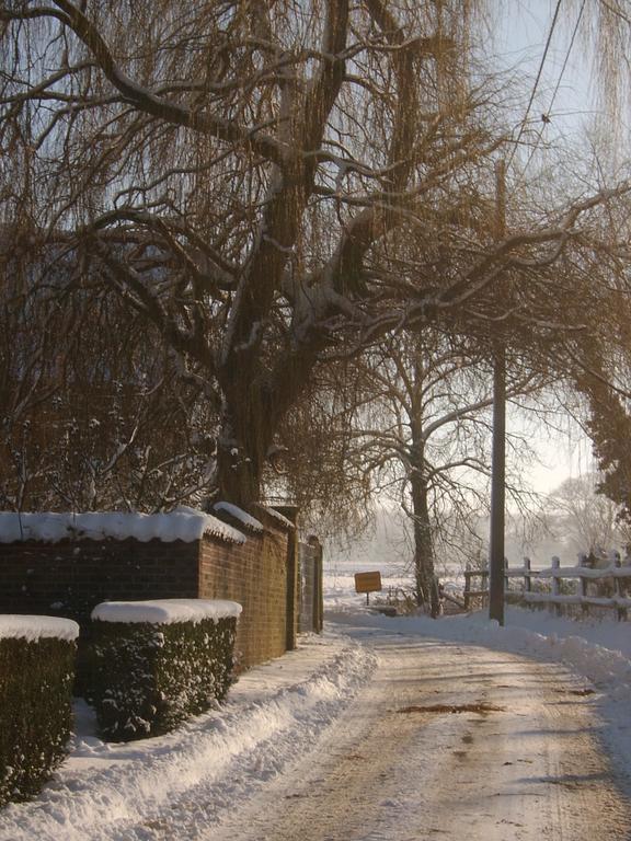 B&B De Pepelinck Denderwindeke ภายนอก รูปภาพ