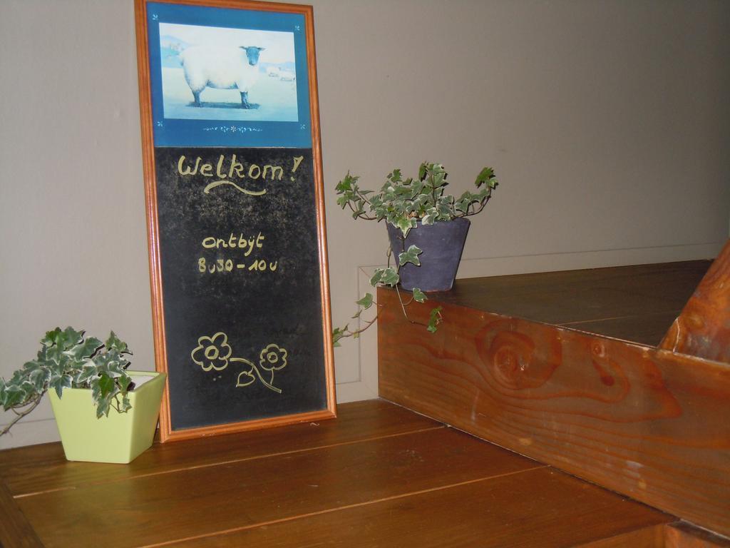 B&B De Pepelinck Denderwindeke ภายนอก รูปภาพ
