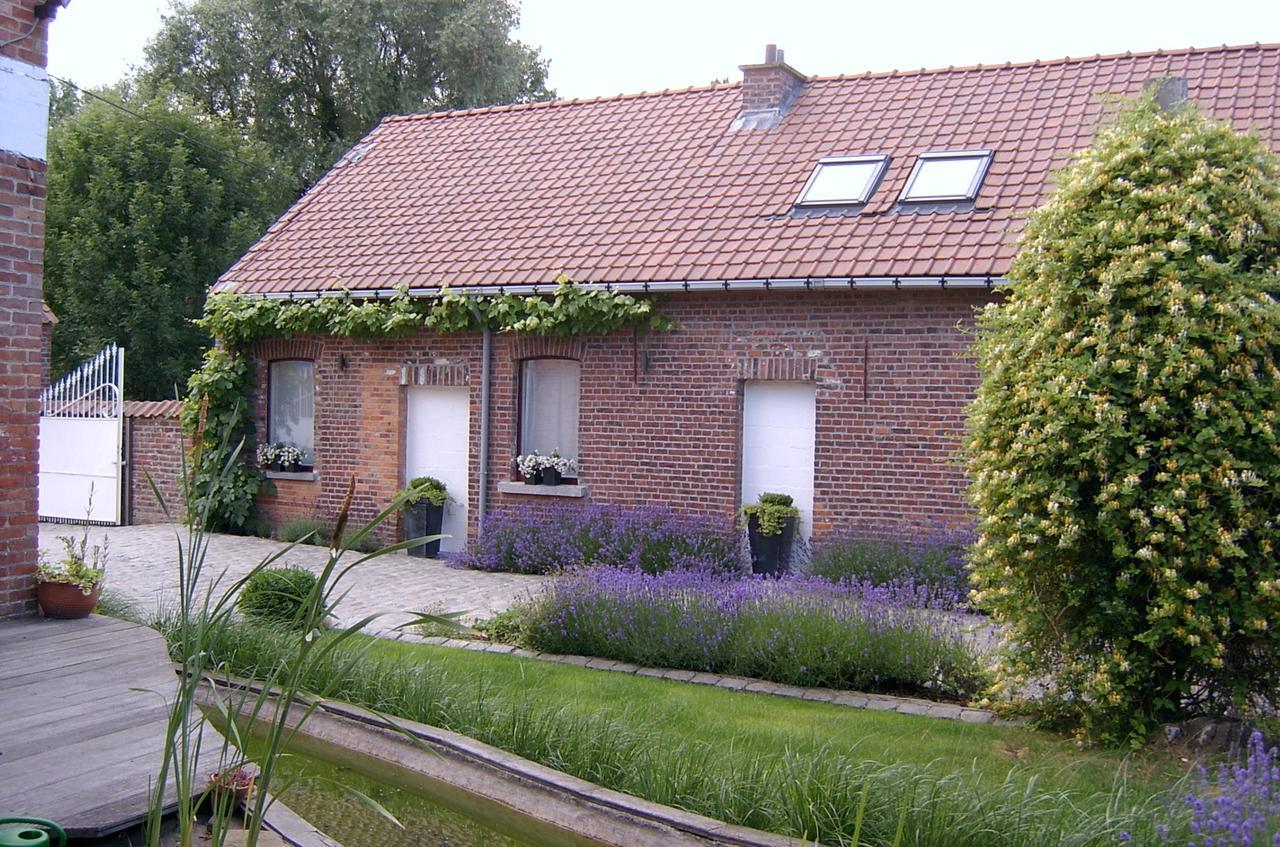 B&B De Pepelinck Denderwindeke ภายนอก รูปภาพ